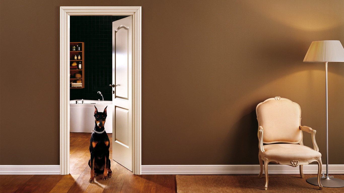 Текстильные шелковые обои